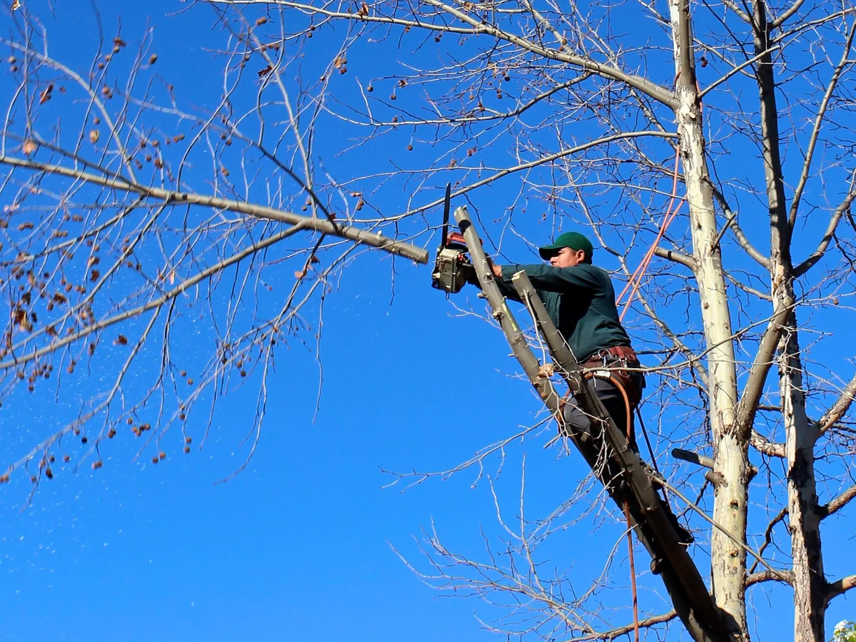 Recent work by Nationwide Driveways