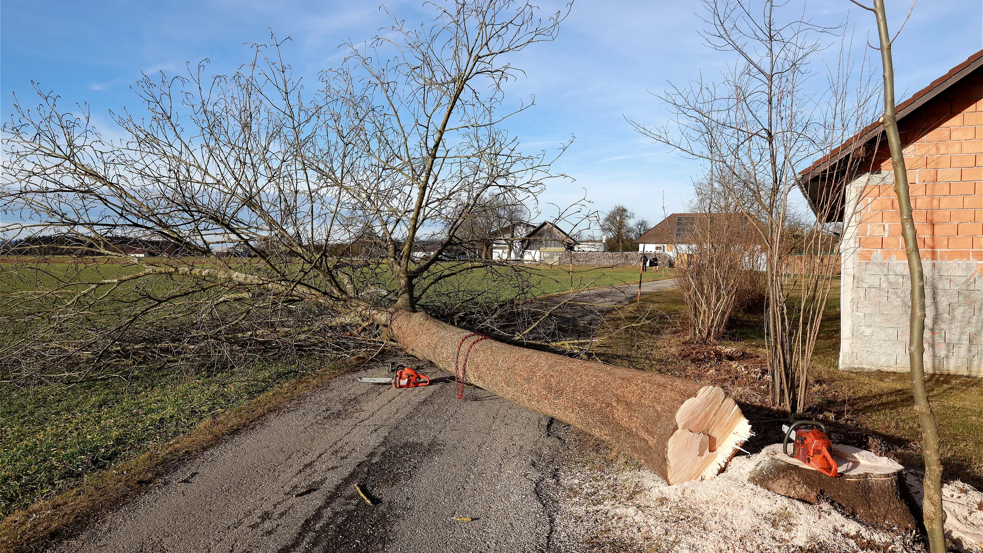 Tree Felling by Nationwide Driveways